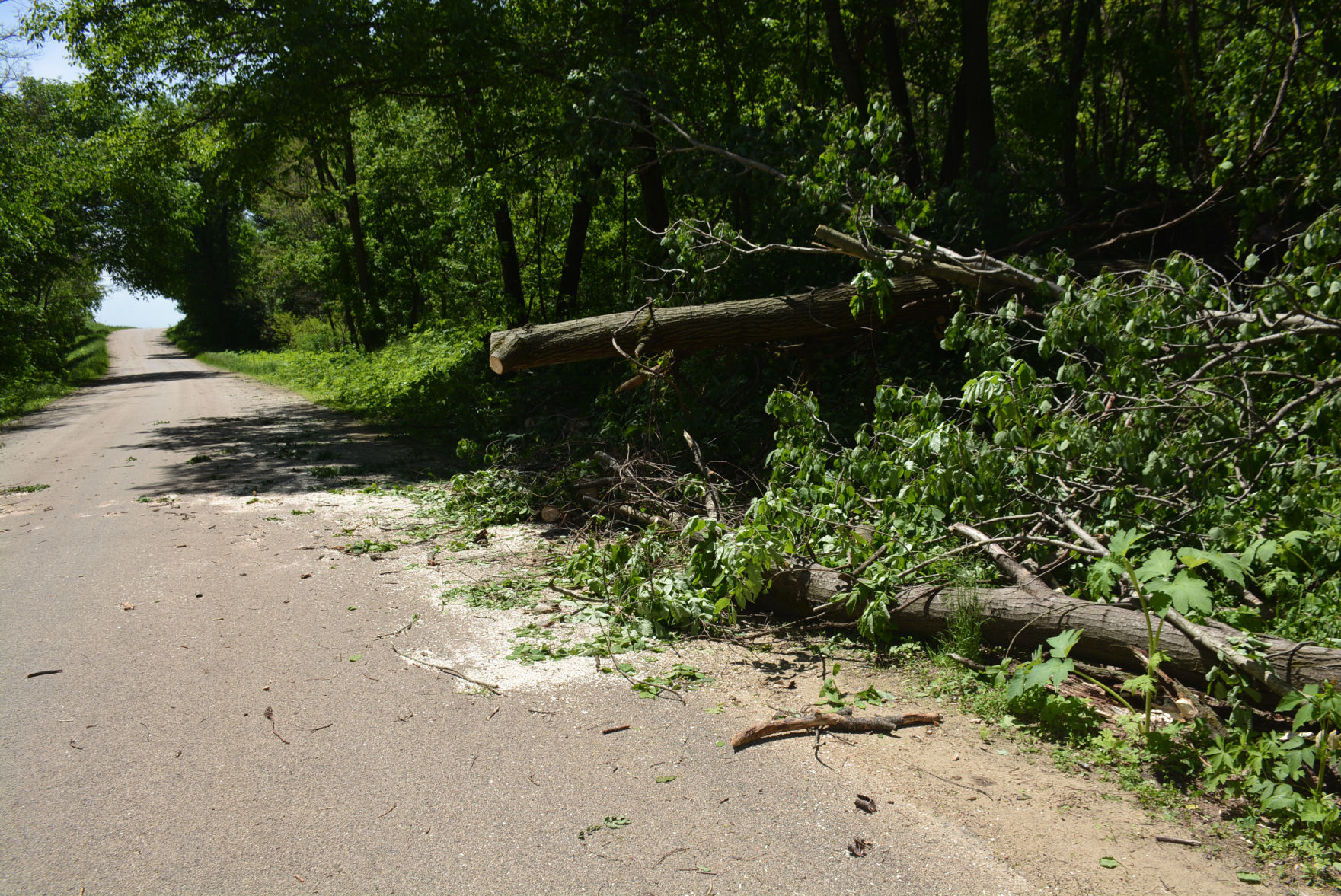 Storm damage 3